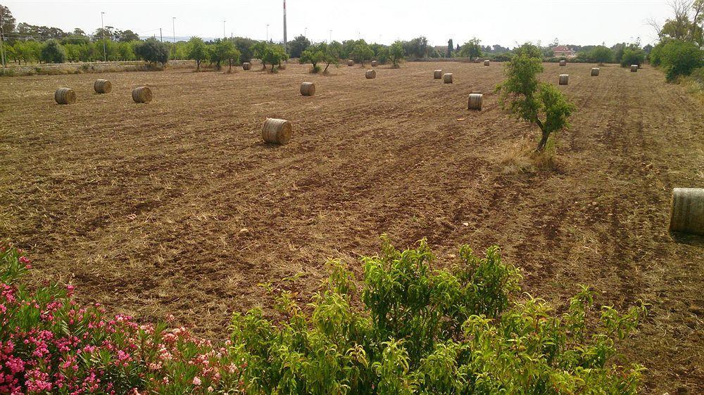 Il Mirto E La Rosa Bed and Breakfast Agrigento Buitenkant foto